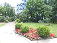 8745.jpg 8745.jpg