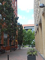 8789.jpg 8789.jpg