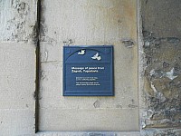 8803.jpg 8803.jpg