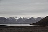 4556.jpg 4556.jpg