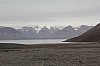 4557.jpg 4557.jpg