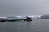 4596.jpg 4596.jpg