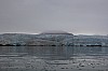 4616.jpg 4616.jpg