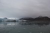 4619.jpg 4619.jpg