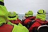 4628.jpg 4628.jpg