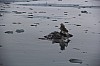 4678.jpg 4678.jpg