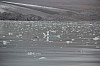 4713.jpg 4713.jpg