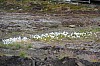 3952.jpg 3952.jpg