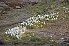 3953.jpg 3953.jpg