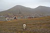 4223.jpg 4223.jpg