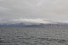 4293.jpg 4293.jpg