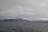 4294.jpg 4294.jpg
