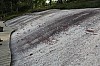 5356.jpg 5356.jpg
