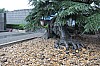 6905.jpg 6905.jpg