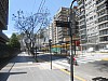 9167.jpg 9167.jpg