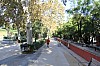 7445.jpg 7445.jpg