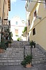 7039.jpg 7039.jpg