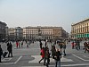 9239.jpg 9239.jpg