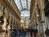 9241.jpg 9241.jpg