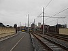 9915.jpg 9915.jpg