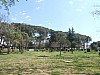 20125.jpg 20125.jpg