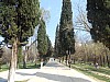 20138.jpg 20138.jpg