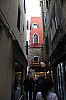 9462.jpg 9462.jpg