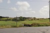 2280.jpg 2280.jpg
