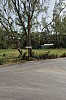 2284.jpg 2284.jpg