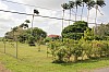 2516.jpg 2516.jpg
