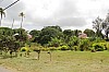 2532.jpg 2532.jpg