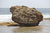 3080.jpg 3080.jpg
