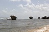 3156.jpg 3156.jpg