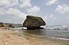 3164.jpg 3164.jpg