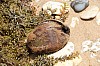 3276.jpg 3276.jpg