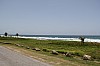 3676.jpg 3676.jpg