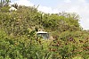 3800.jpg 3800.jpg