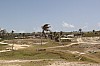 4368.jpg 4368.jpg