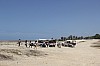 4372.jpg 4372.jpg