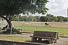 4796.jpg 4796.jpg