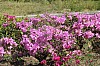 4880.jpg 4880.jpg