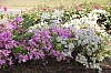 4884.jpg 4884.jpg