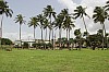6311.jpg 6311.jpg