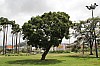 6329.jpg 6329.jpg