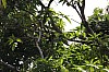6333.jpg 6333.jpg