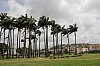 6335.jpg 6335.jpg
