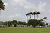 6339.jpg 6339.jpg
