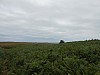 0352.jpg 0352.jpg