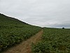 0377.jpg 0377.jpg