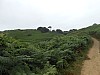 0392.jpg 0392.jpg